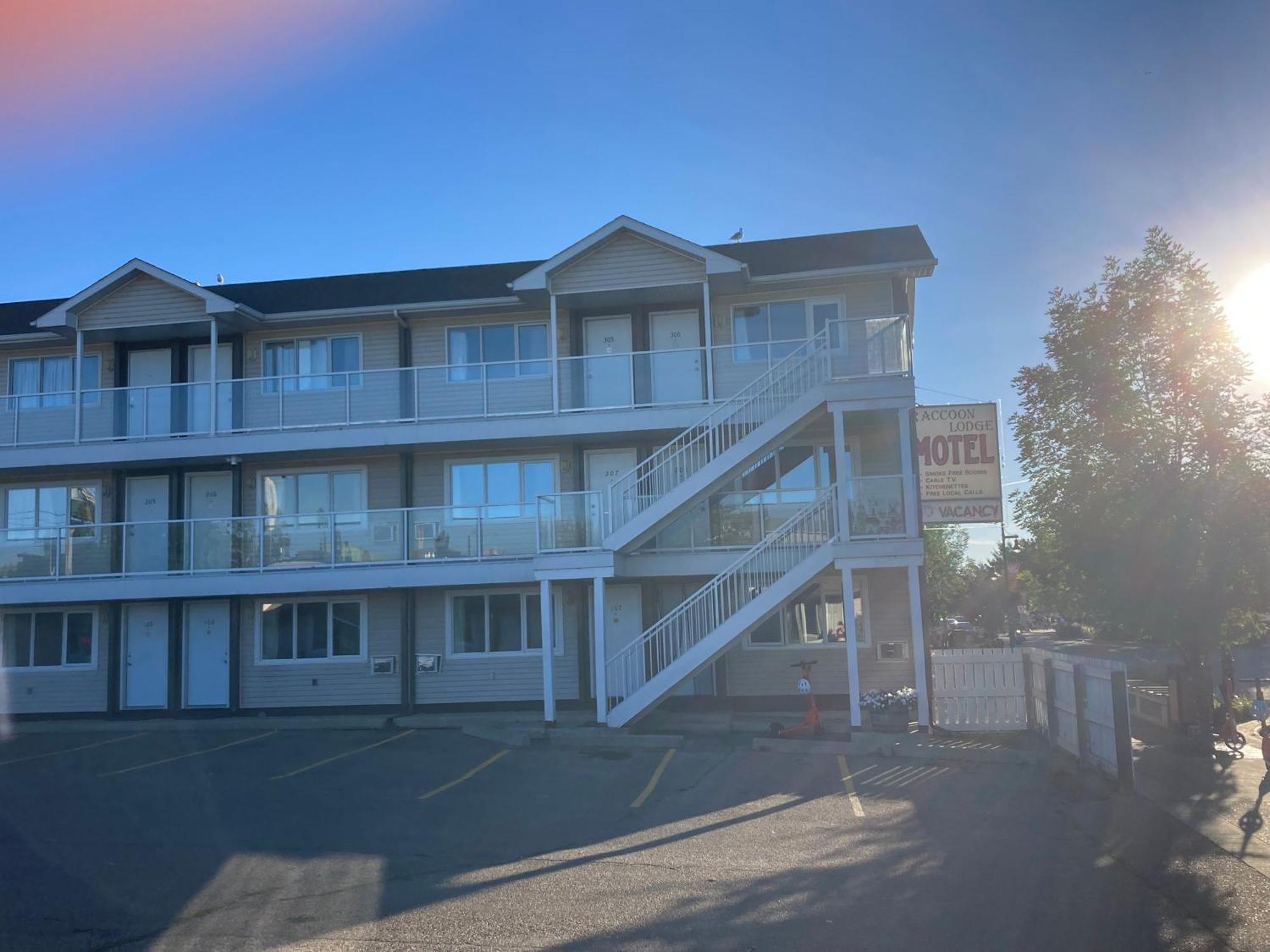 Raccoon Lodge Motel Sylvan Lake Dış mekan fotoğraf