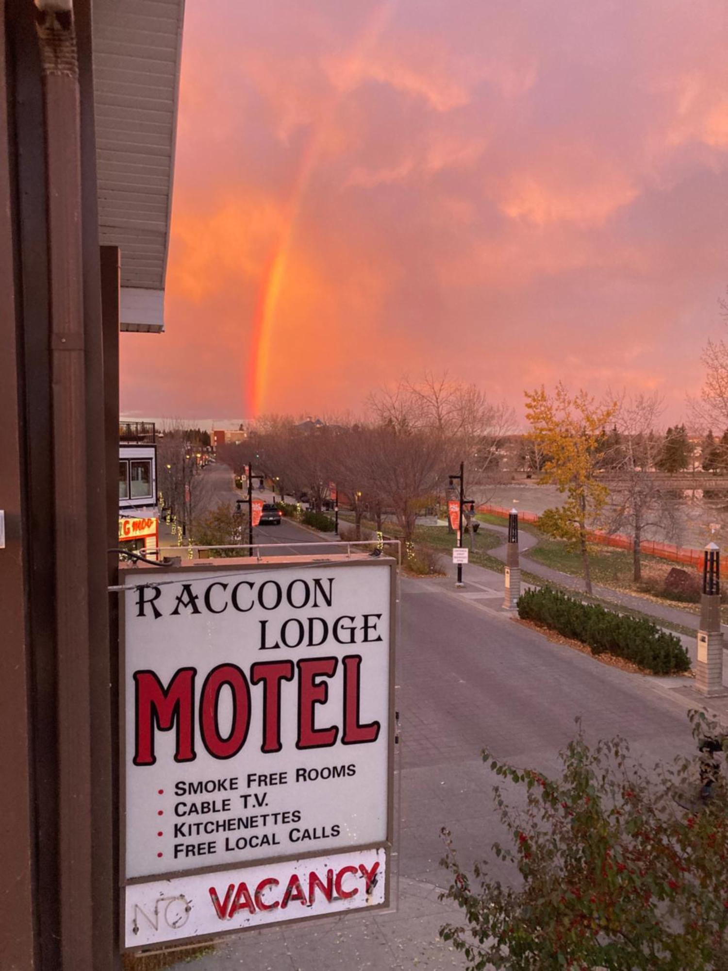 Raccoon Lodge Motel Sylvan Lake Dış mekan fotoğraf